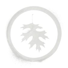 Black oak creative logo
