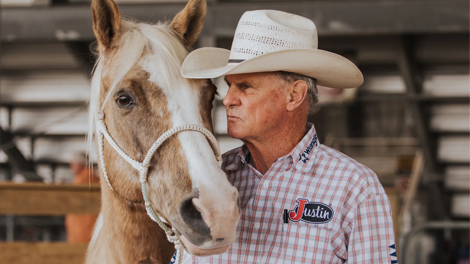 Picture of a person and a horse